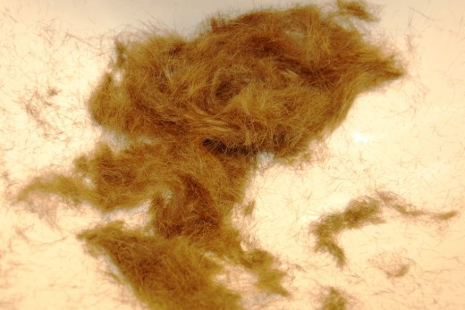 I started off trimming my sideburns, then one thing led to another and the next thing I knew I had a haircut...sort of.  