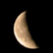 angellous profile image