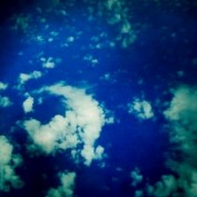 angelskies profile image