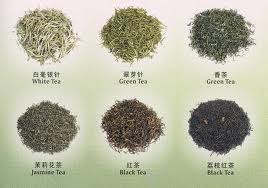 Tea varieties - white tea, black tea, green tea, etc.