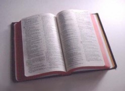 How to Read The HOLY BIBLE in just 30 Days (-or- 30 Weeks) - Day 2 (Week 2)