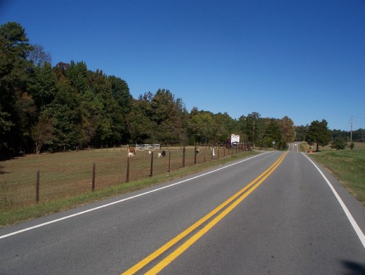Orange Grove Road