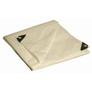  Dry Top 312201 12-by-20-Foot Super Heavy-Duty 10-Mil UV Treated Tarp, White
