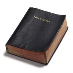 How to Read The HOLY BIBLE in just 30 Days (-or- 30 Weeks) - Day 20 (Week 20)