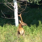 shay921 profile image