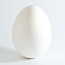 https://usercontent1.hubstatic.com/4010380_f260.jpg