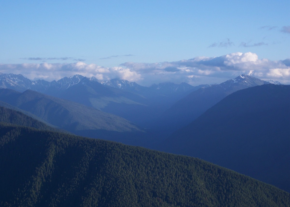 View from the Top of the World - Hurricane Ridge in the  Olympic National Park.
