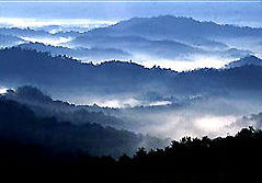 The Beauty of Nature
