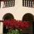 A bougainvillea blooming at a corner of the pavilion