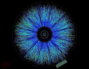 A sub-atomic particle spray pattern resulting from a high speed collision in an accelerator. The eye of the quantum.