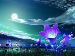 http://s4.hubimg.com/u/4024551_f248.jpg
