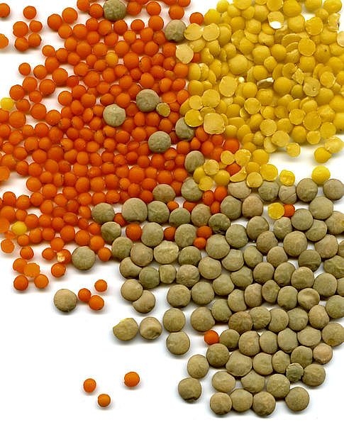 Red, Yellow and Green Lentils