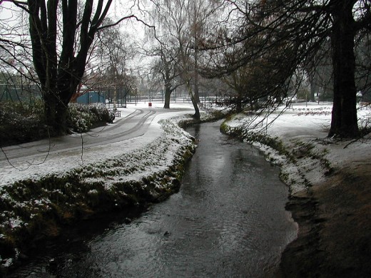 Roath Park in winter