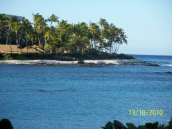 http://s1.hubimg.com/u/4031468_f248.jpg