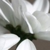 TreasuredCards profile image