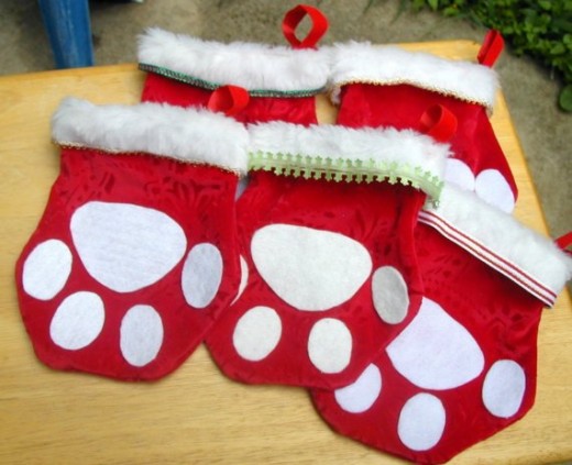 Little Red Paws!  The best way to brighten your home!