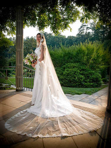 Formal Bridal Portrait