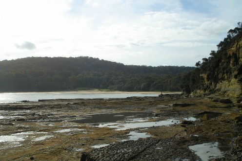 Looking back at Pebbly Beach from the headland