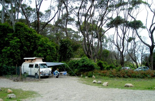 The campsite, encompassed by nature