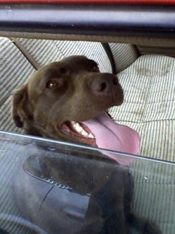 http://s3.hubimg.com/u/4048686_f248.jpg