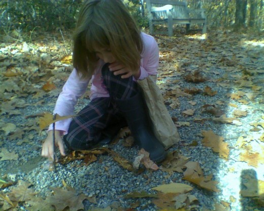 Building a "fairy playground" in the woods at Tower Hill Botanical Garden