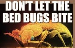 Bed Bugs, Bed Bugs - Are You In Bed With Me?!?