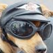 zzzoozz profile image