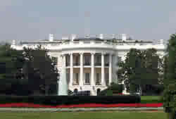 The white House