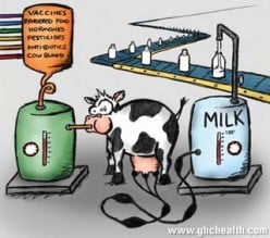 Organic Milk, a Deal at Twice the Cost! Please Watch Video!