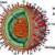 Flu virus detail