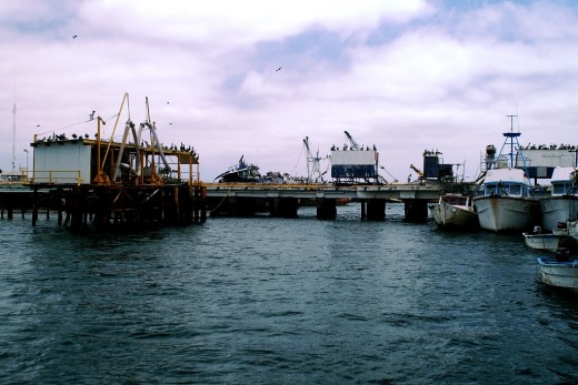 The fishing harbor at San Carlos in Magdalena Bay on the Pacific coast of Baja is a bit commercial, with few amenities, but I was able to side-tie to a trawler - The fuel was clean and cheap and the Capitania del Puerto was most accomodating.