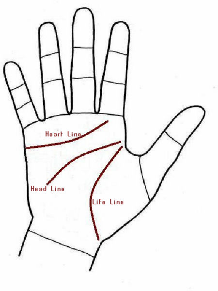 Length, direction, fineness or thickness, whether one fine line or made up of chains, all of these things mean things to the Palm Reader