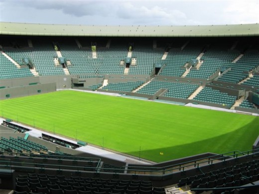 Wimbledon Centre Court. Just picture it covered with hair.