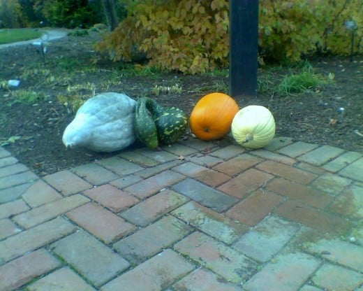 An arrangement of gourds by the front pavilion