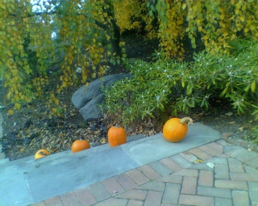 Pumpkins adorning the stairs