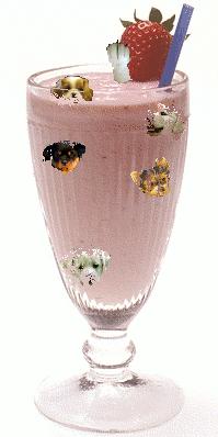 Puppy milkshakes are an outrage!