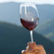 sussexwine profile image