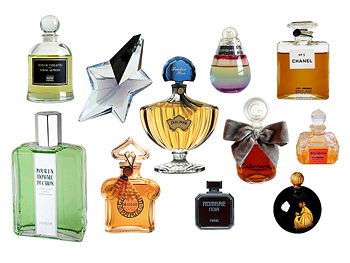 Top Perfumes For Women