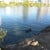Dogs can enjoy a swim off leash park Lady Bird Lake Austin TX