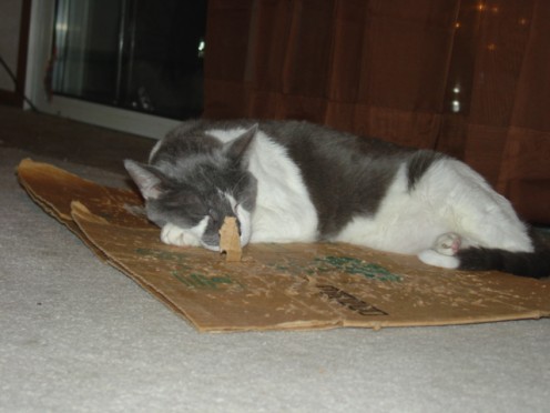 And CIA loved flat boxes any way he can get em...RIP  1-13-2015