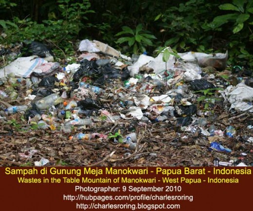Plastic wastes in the rainforest of Table Mountain near Manokwari city - the capital of West Papua province - the Republic of Indonesia