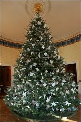 The Blue Room Christmas Tree at the White House in the United States