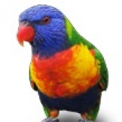 1dollar profile image