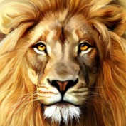 Ziad.N profile image