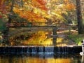 The Splendor of Fall