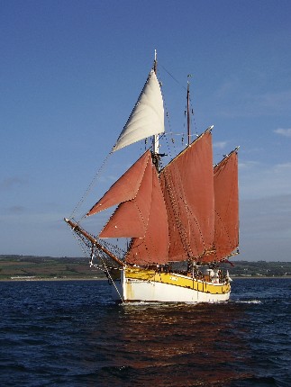 Tall ships come in many varieties and represent the best low impact way to go on a high seas eco-tour. As a bonus, you get sailing experience in a teamwork setting.