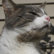 tiffybug1348 profile image