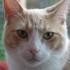 Mars profile image