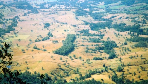 The fertile floor of the crater