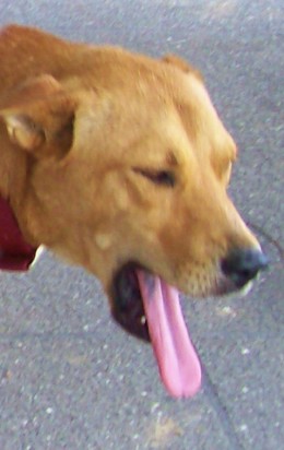 https://usercontent1.hubstatic.com/4154444_f260.jpg